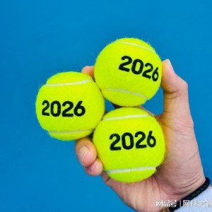 开云体育-阿卡淘汰卢布与菲斯争冠，高芙遭小白菜双杀，梅总向小钱抛橄榄枝