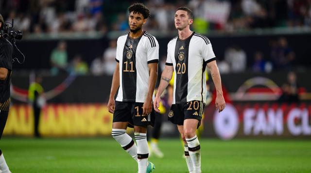 1694339055608019873.jpg 1694339055608019873.jpg